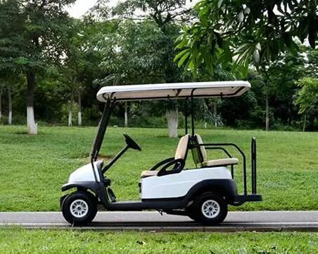 Golf cart charging